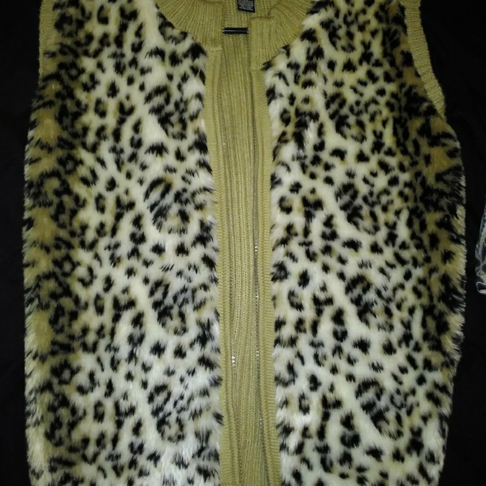 Vest